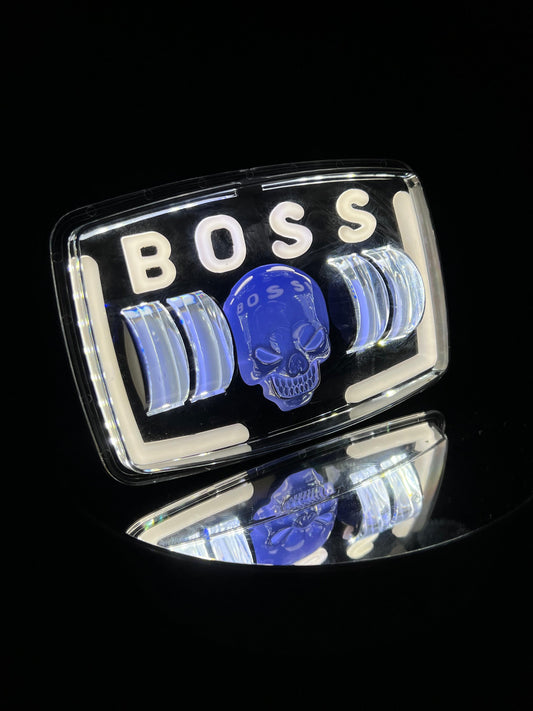 LED PANEL BOSS