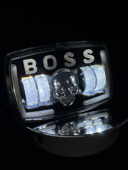 LED PANEL BOSS